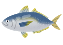 鯵