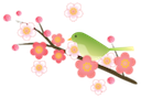 梅